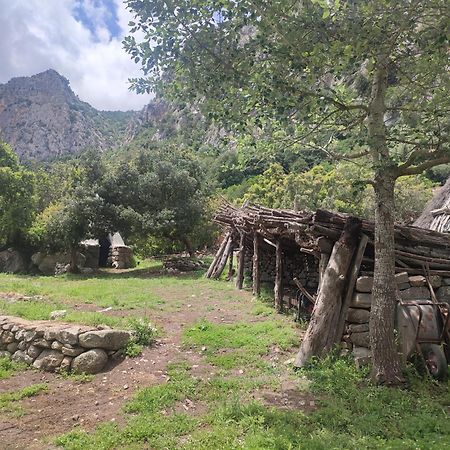 Appartamento Meduse Cala Gonone Bagian luar foto