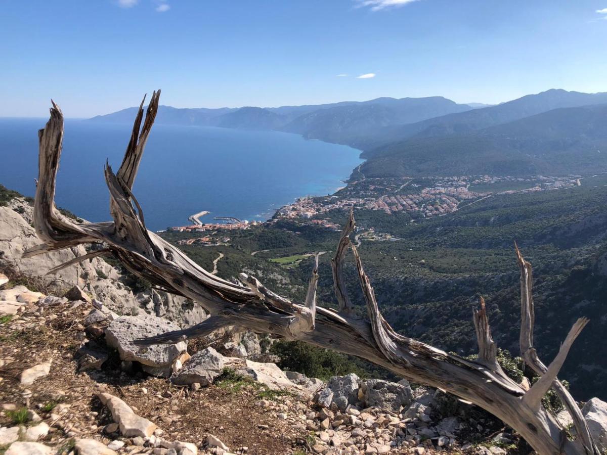 Appartamento Meduse Cala Gonone Bagian luar foto